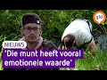 Joey werd in de sloot geduwd door wielrenners