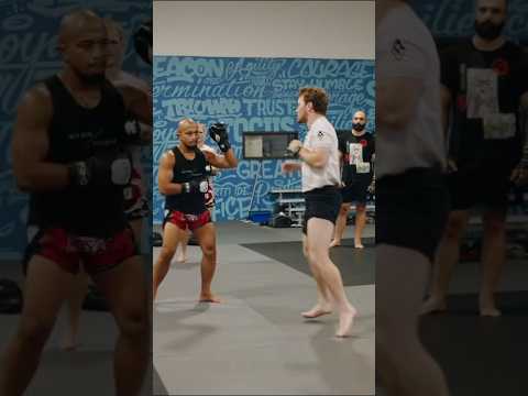 Muay Thai fighters STRUGGLE with this TKD movement