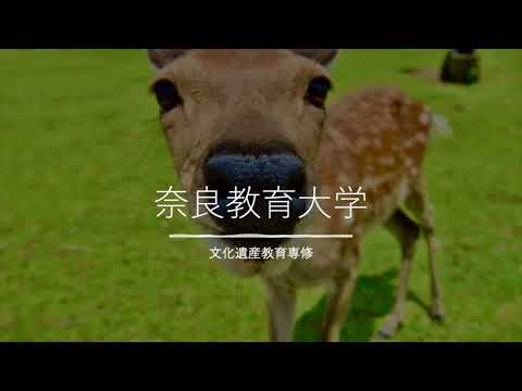 文化遺産教育専修PR動画