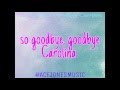 Ace Ryan- Goodbye Carolina lyrics video