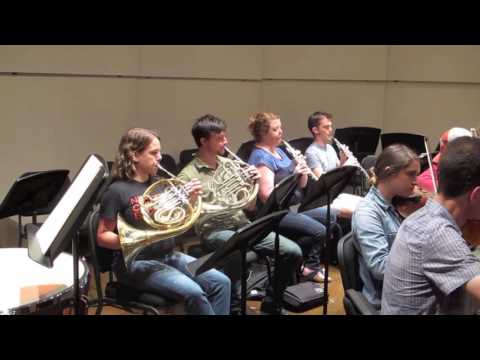 Lakes Area Music Festival Volunteers