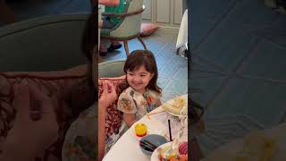 Bella Maison Pine Tree Video