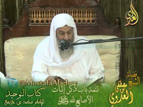  شرح كتاب التوحيد لابن خزيمة (17) تتمة باب إثبات الأصابع لله عز وجل 