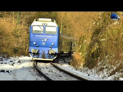 Trenuri in Defileul Crișului Repede/Trains in Crișului Repede Canyon - 21 January 2021