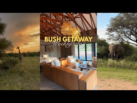 ESCAPING TO THE BUSHES🌳 | MINARA LODGE | GAME DRIVE | QUAD BIKING#bushgetaway #southafricanyoutuber 