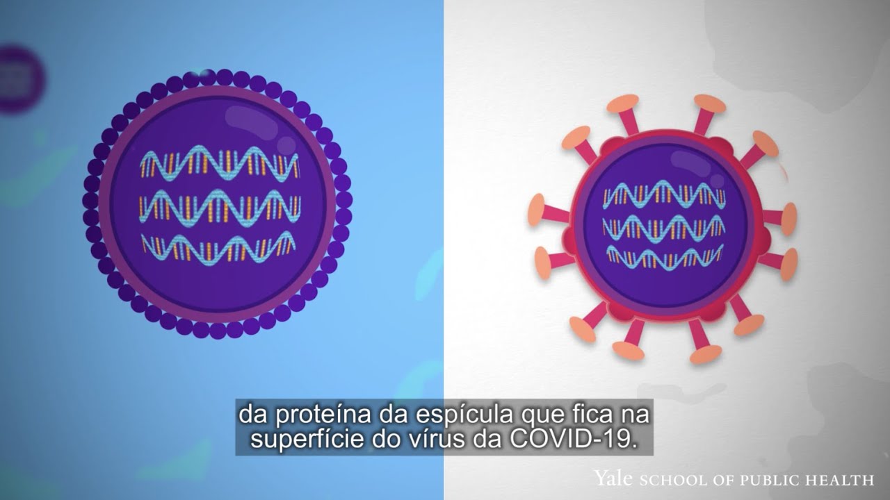 Vacinas de mRNA - Como funcionam as vacinas de mRNA da COVID