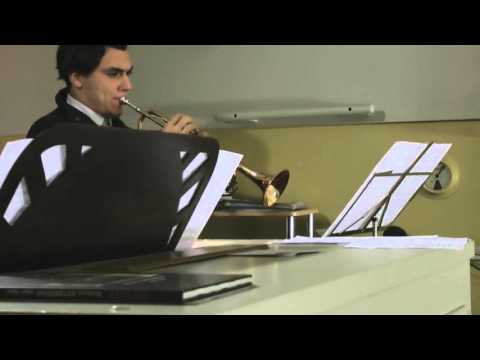 Novoroční koncert 10.1. 2016 - J. Vozníček (trubka), P. Vondráček (varhany) (1)