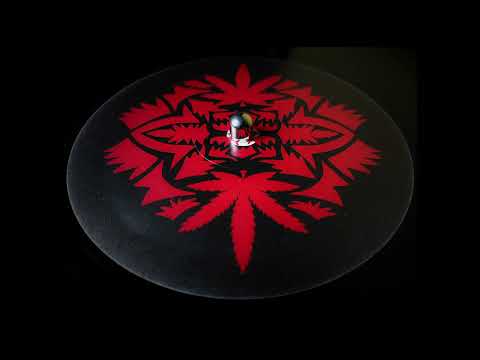 The Bug - Flying (Feat. Ricky Ranking) (2008)