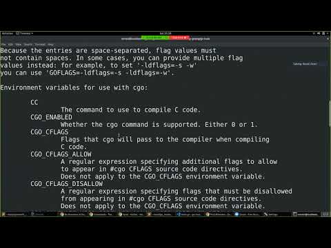 Golang BLR Meetup 45 (June 15th, 2019) - Go tooling, Boundscheck Elimination and Optimization