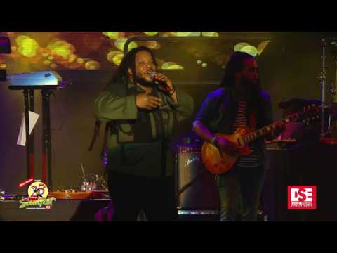 Reggae Sumfest 2017 - Stephen Marley (Part 4 of 6)