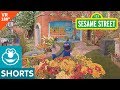 Sesame Street Grover Shows Near And Far In VR 180 Video