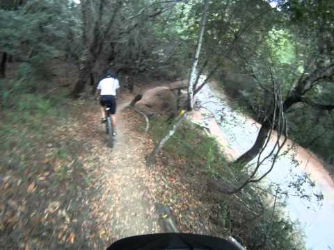 renato helton e leandro tamarancho