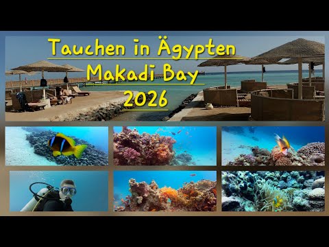 2026 Tauchen in Ägypten, Makadi Bay,  Hausriff vor Hotel Makadi Palace  Hurghada - Diving in Egypt 