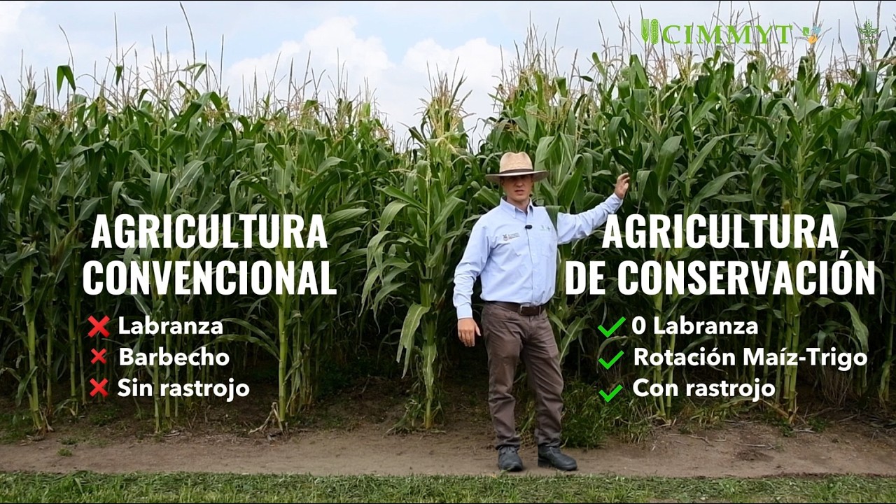 Por esta razón tu tierra ya no rinde...