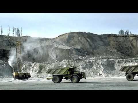 Nic: Ayaan, Hamza, Najeeba