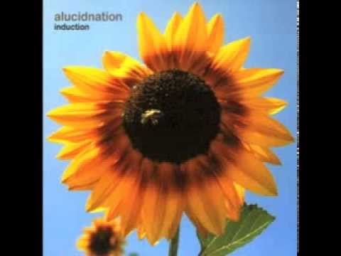 Alucidnation - I'm Not Bad