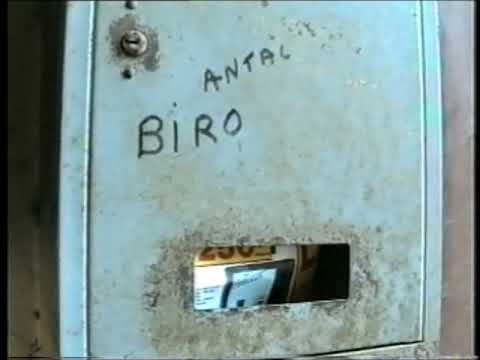 Bíró Antal festményei hazatértek