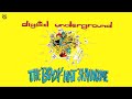 Digital Underground - Holly Wanstaho