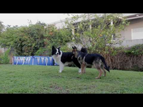 Afro Tek - Feel it Marc Shock Remix