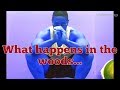 In the lost woods 😱 + Flexing muscle gains