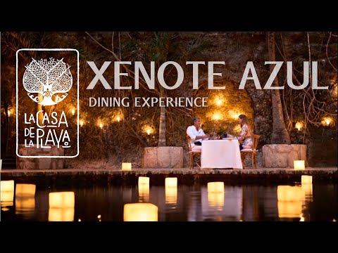 The 6745 Del Playa Dining Experience