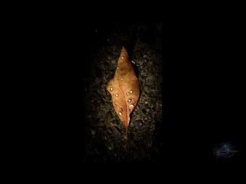 Alcatel Idol 4S Stock Wallpapers