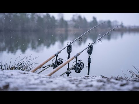 Karpfen Angeln im Winter I Mission Winterkarpfen Folge 2