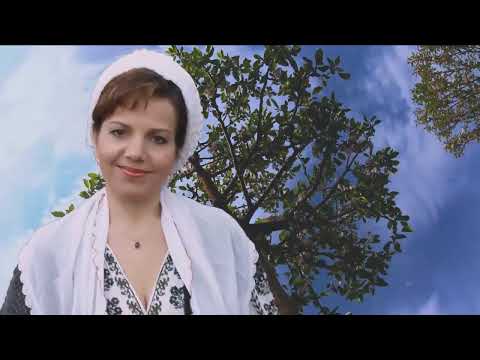 Irina Zoican - Colaj