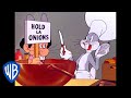 Looney Tunes French Rarebit Classic Cartoon WB Kids