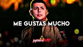 Marca MP - Me Gustas Mucho (Romanticas 2023)