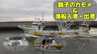 2025/03/06 銚子の漁船とカモメ｜Fishing boat and Seagull