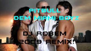 Pitbull - Dem Miami Boyz(DJ RoBeM 2009 Remix!)