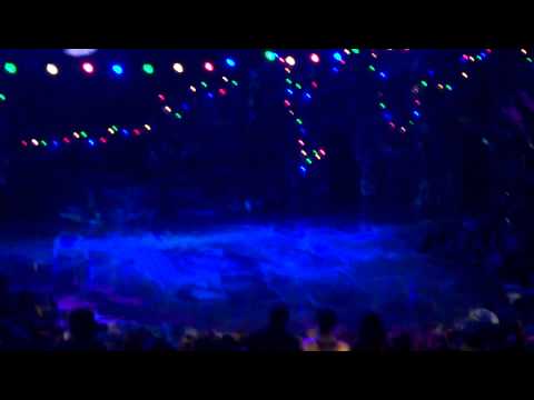 Schluß von Cats 2012 Vienna