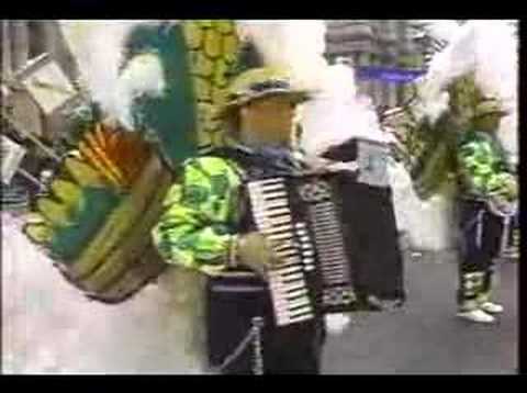 Aqua String Band 1997- Outstanding in their Field