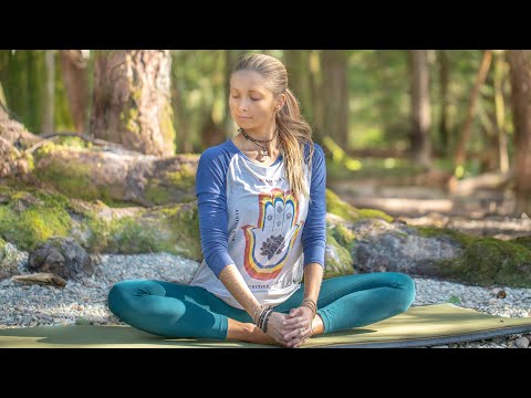 Beautiful Beginner Yoga  Hatha Class For Everyone Tofino
