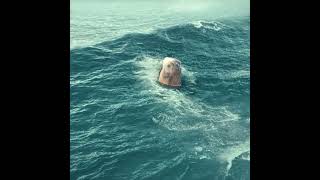 He looked down into the water and was completely stunned. #movie #shorts #fyp