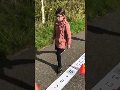 Getallenlijn t/m 20 -  oefening 7 - Dobbelrace   terugtellen - Powerspel