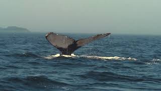 We can’t wait to welcome you!