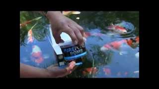 Evolution Aqua PURE Pond Bomb