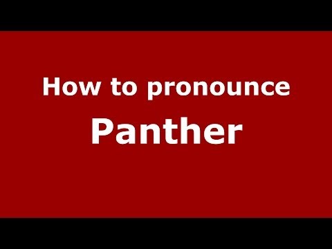 How to pronounce Panther