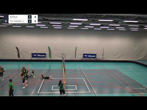 NTNUI - Tif Viking, 1. divisjon kvinner