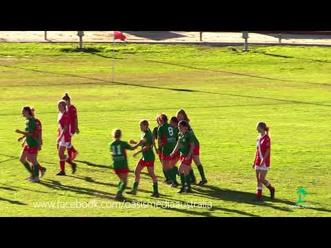 WPL 2018 Round 11 Highlights - Wallsend v Adamstown