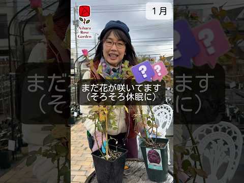 2022年の植物に適した冬のベールは何ですか