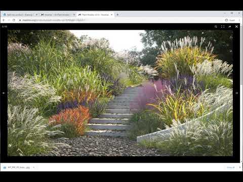 Group buy virtualproducts,such as maxtree,evermotion,3dsky pro and vizpeople 3d models