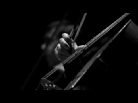 Kian Ravaei - Pluck (2021) (Version for String Quintet)