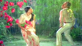 Chiranjeevi Radha Superhit Rain Song  Naagu Movie 