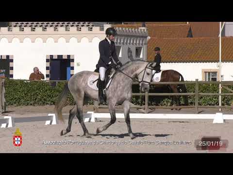 5 Leste D´Atela por Gonçalo Sampaio - Criador Francisco Bessa de Carvalho