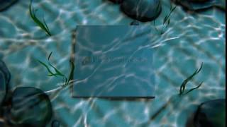 23 Underwater | Video Intro | Incite Local Mobile