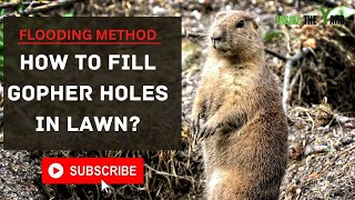 Does Flooding Gopher Holes Work?