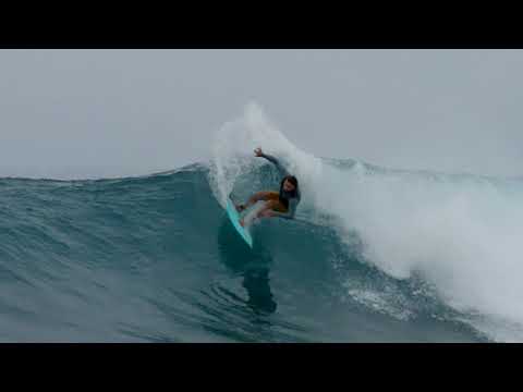 Christenson | Fish | Tyler Warren